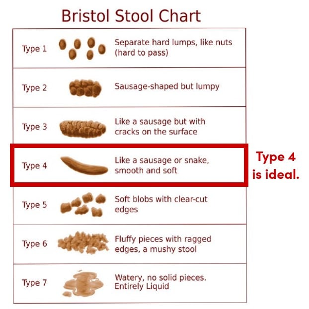 Bristol Stool Chart